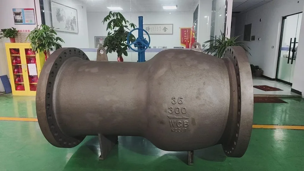 微信图片_202409290055483