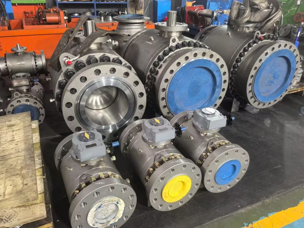 微信图片_20240929005552